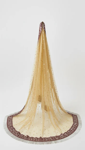 Golden Net Bridal Dupatta - Heavy Lace Work with Stone Embellishments